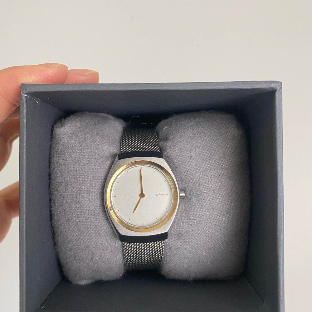 Skagen watch